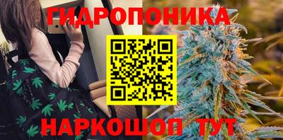 стафф Нарткала