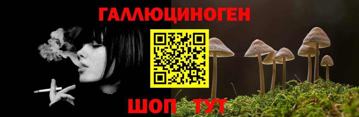 Тара  Галлюциногенные грибы Psilocybe  Вход с VPN 